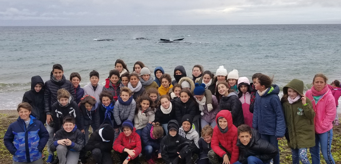 Viaje a Puerto Madryn - 7° grado 2019