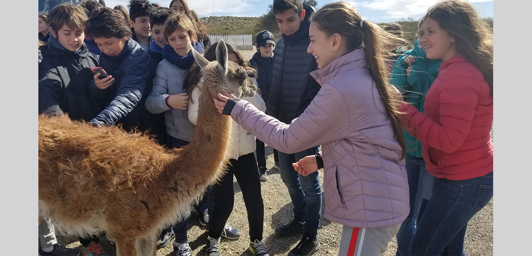 Viaje a Puerto Madryn - 7° grado 2019