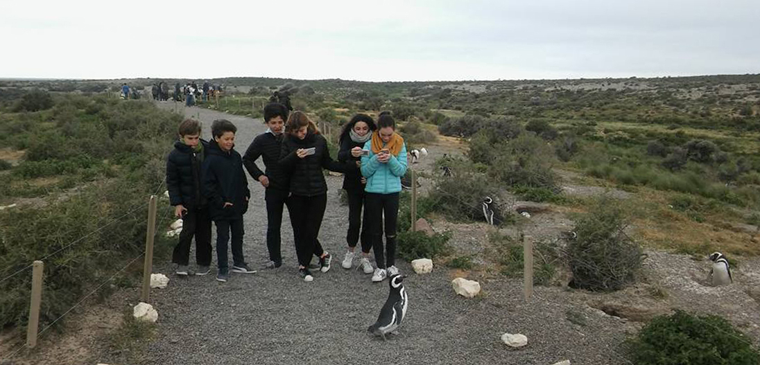 Viaje a Puerto Madryn - 7° grado 2019