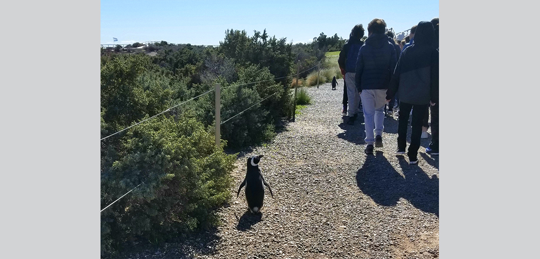 Viaje a Puerto Madryn - 7° grado 2019